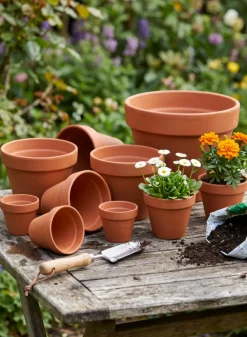 Standard Clay Pots