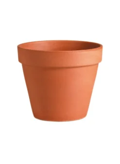 Standard Clay Pots