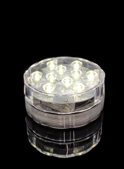 Submersible Cool White LED Light With Remote, Set of 2