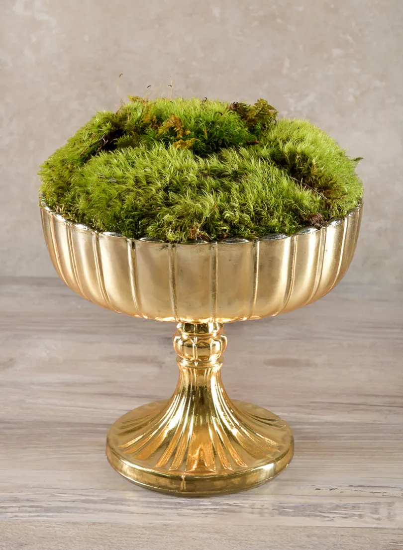 Super Moss Preserved Sheet Moss