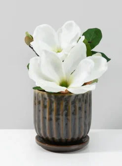 Tulum Avocado Green Pot with Ceramic Saucer