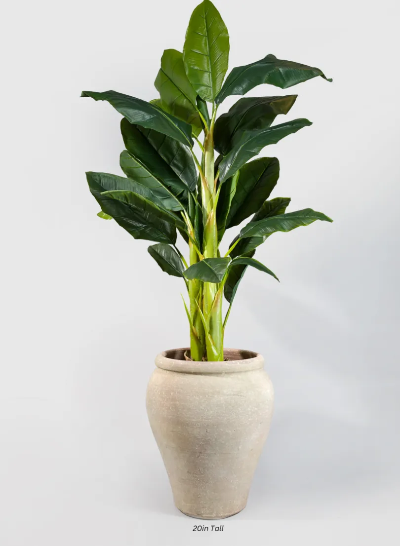 Tunisian Handmade Olpe Jar Planter