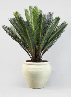 Tunisian Handmade Stamnos Pot