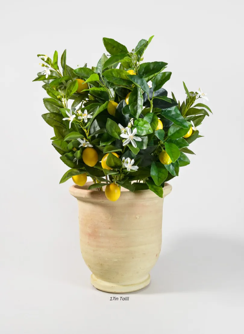 Tunisian Handmade Volute Urn Planter