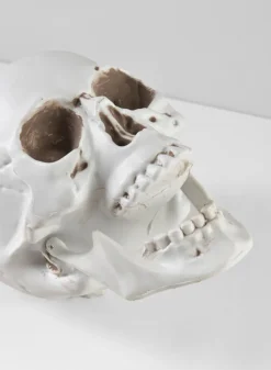 Uncle Alfred's Skull