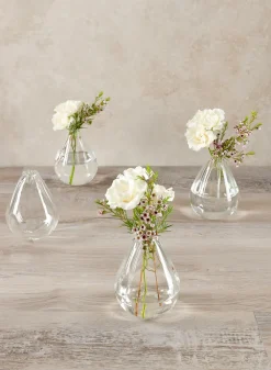 Veroce Pear Glass Vase, Set of 4
