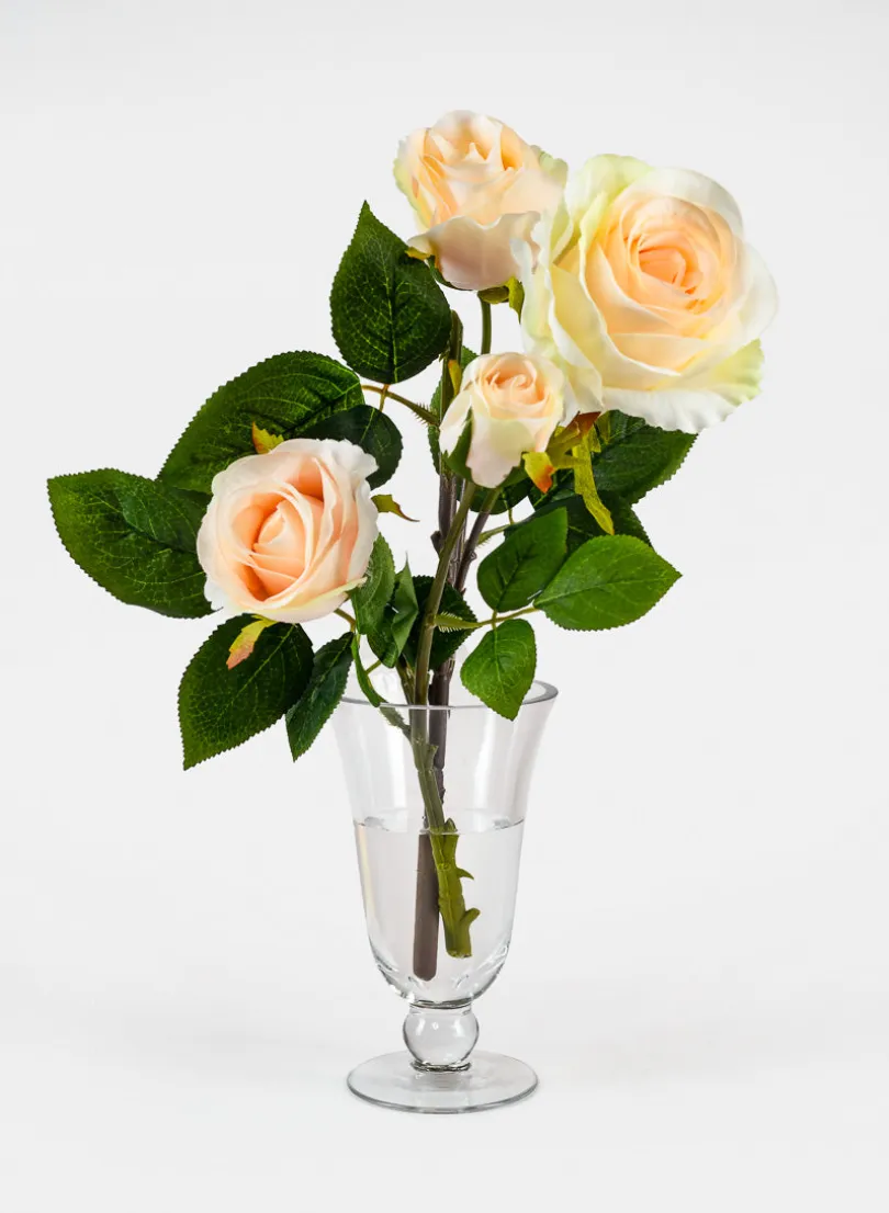 Vienna Clear Glass Urns