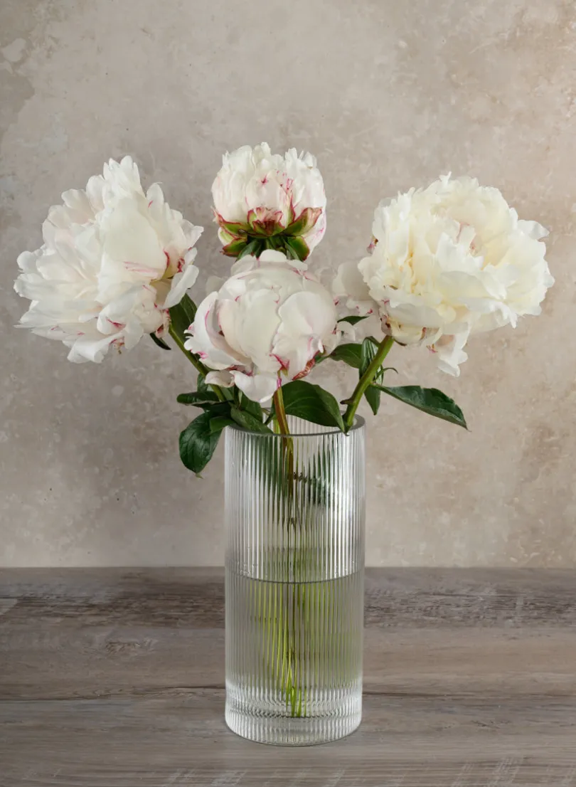 Vienna Pleated Glass Cylinder