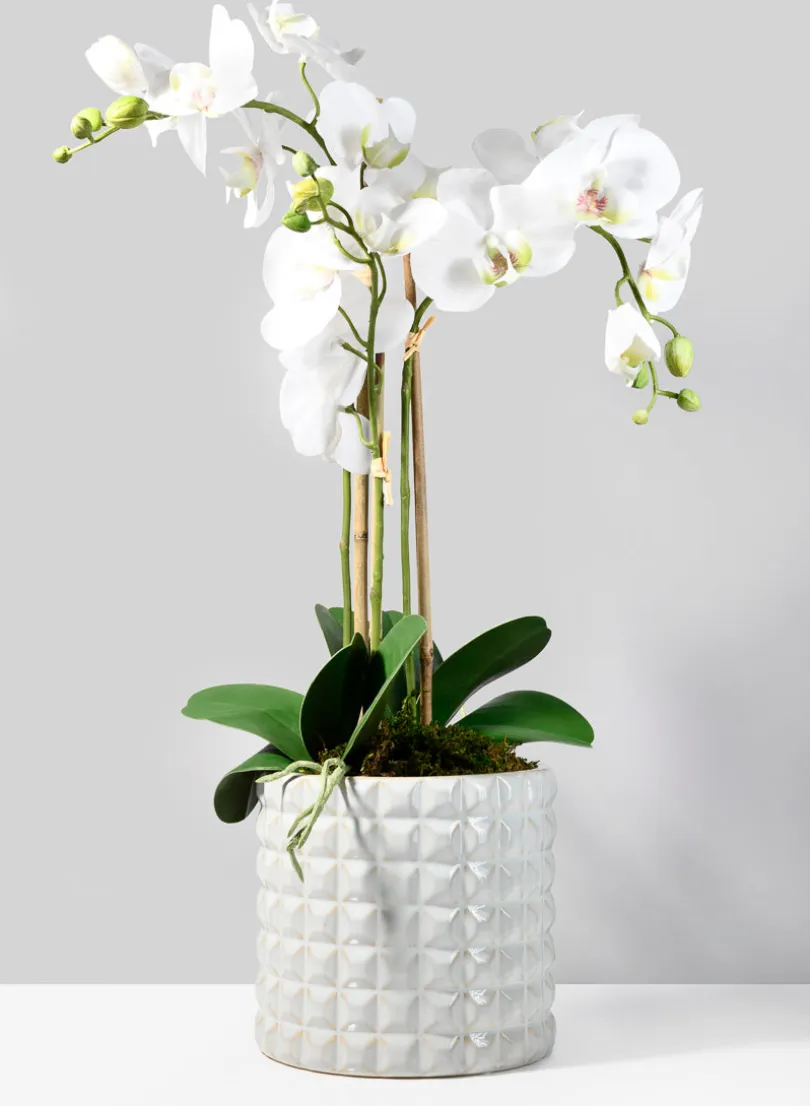 White Ceramic Studs Vase