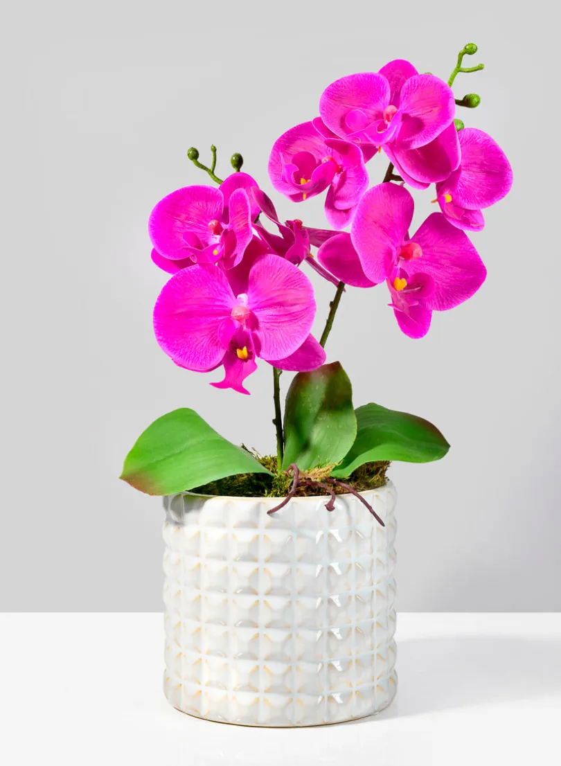 White Ceramic Studs Vase