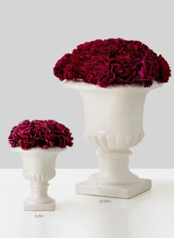 White Ceramic Urns