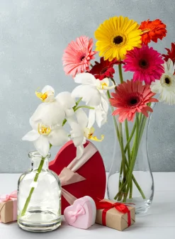 White Phalaenopsis Orchid in Glass Medicine Bottle, Set of 2