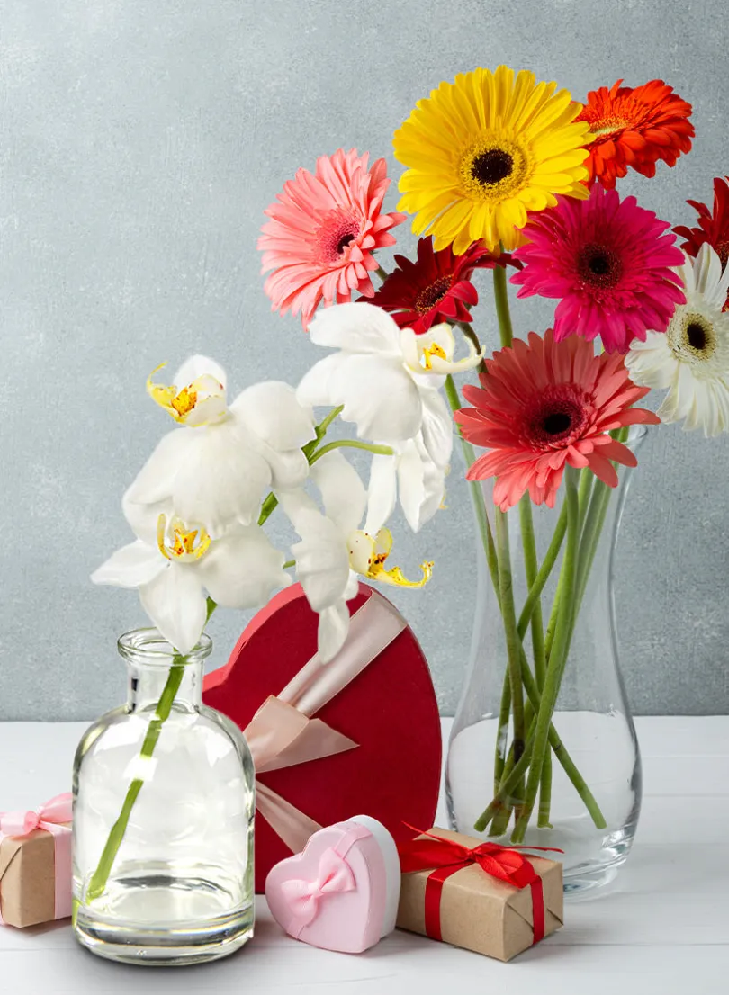 White Phalaenopsis Orchid in Glass Medicine Bottle, Set of 2
