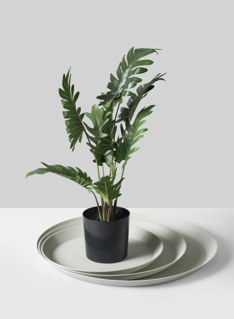 White Plastic Saucer
