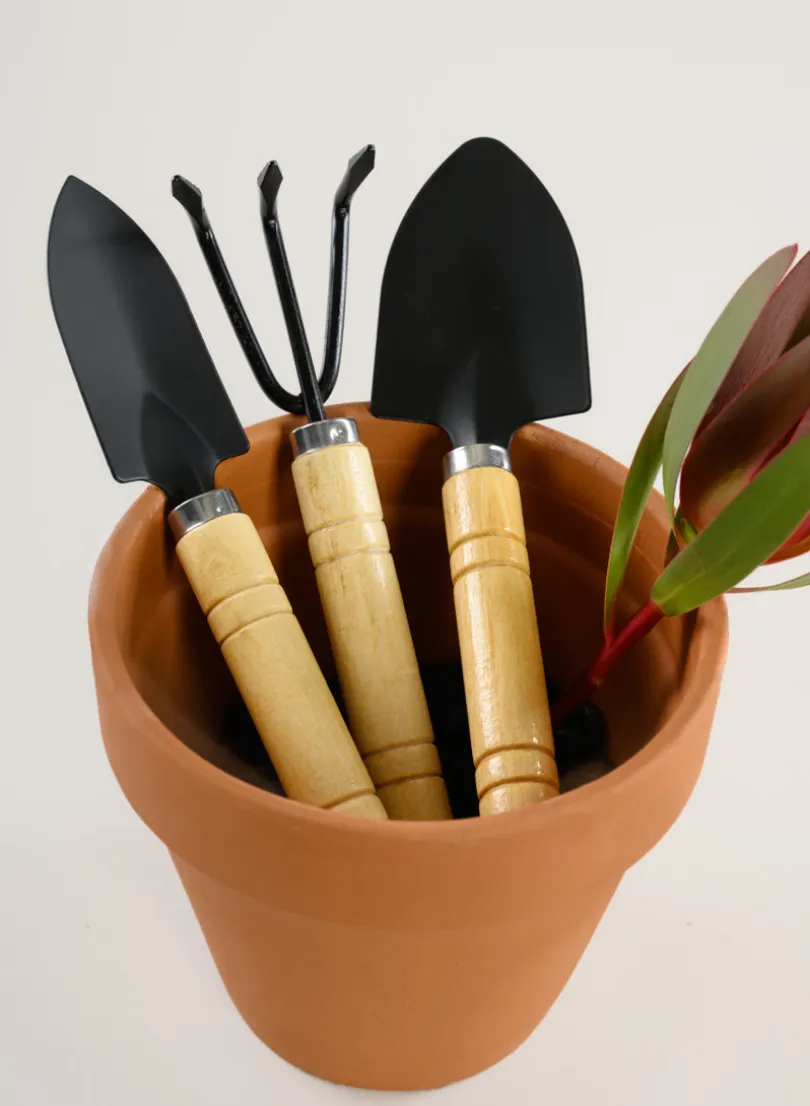 Wood Handle Mini Tool Kit