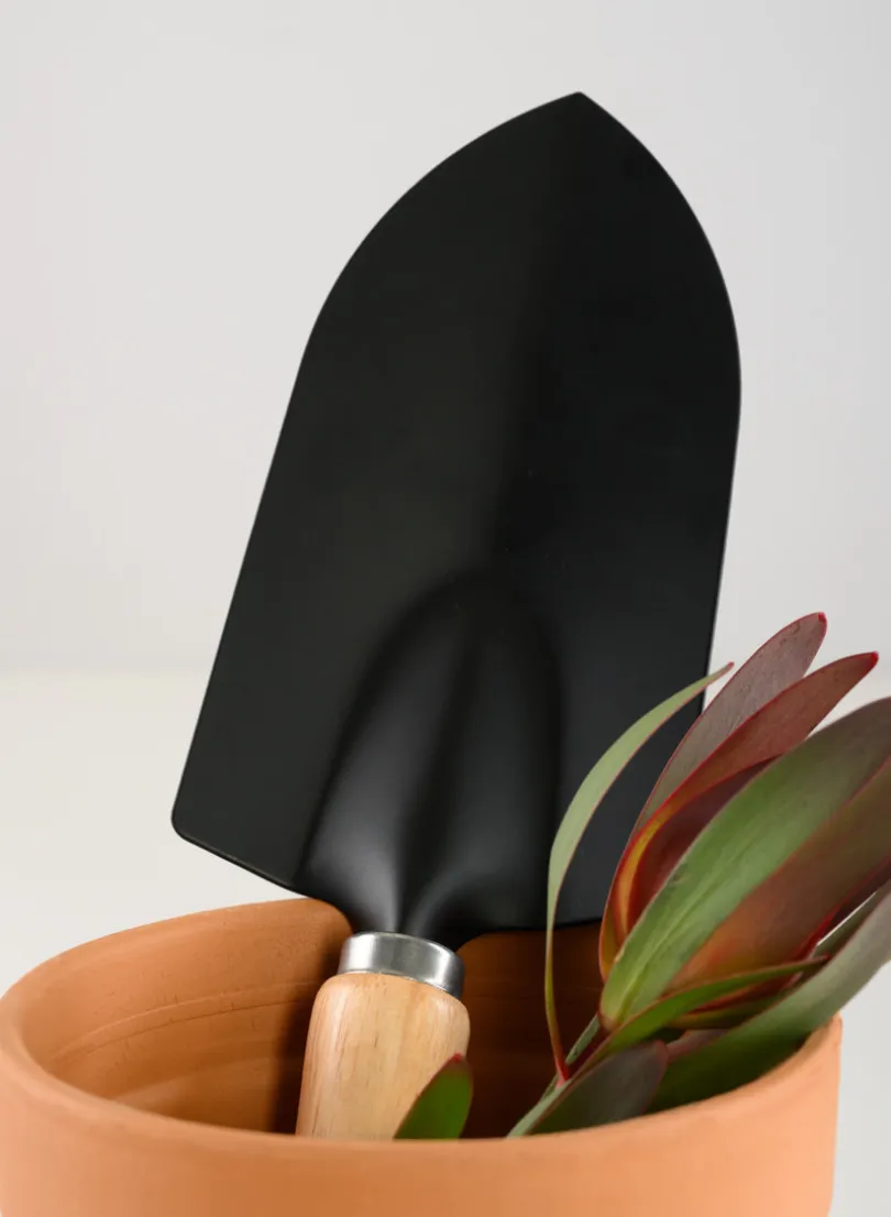 Wood Handle Tranplanter and Trowel